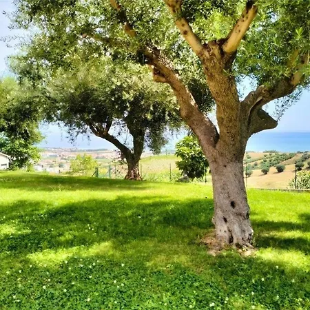 Schoene Mit Panoramische Blick